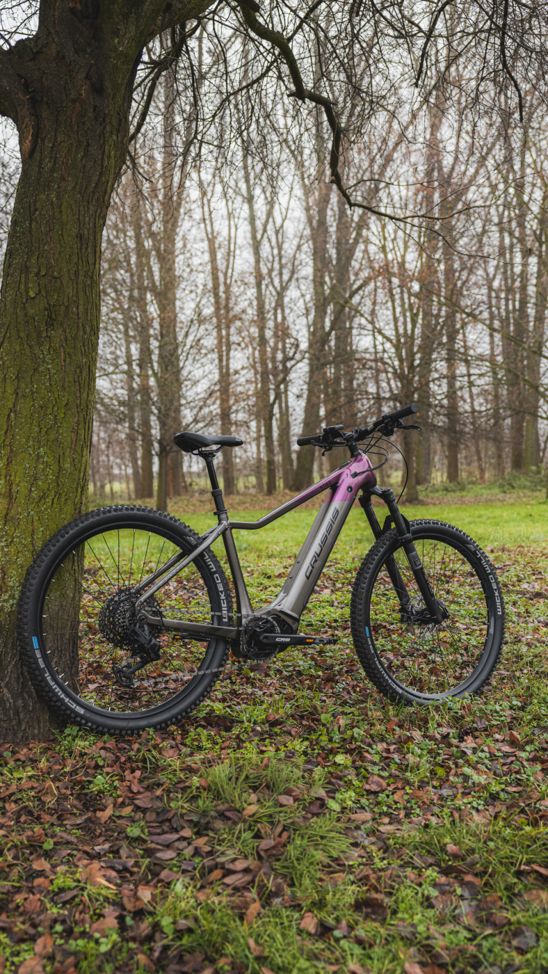 Crussis e-Fionna 10.11 - Image 4